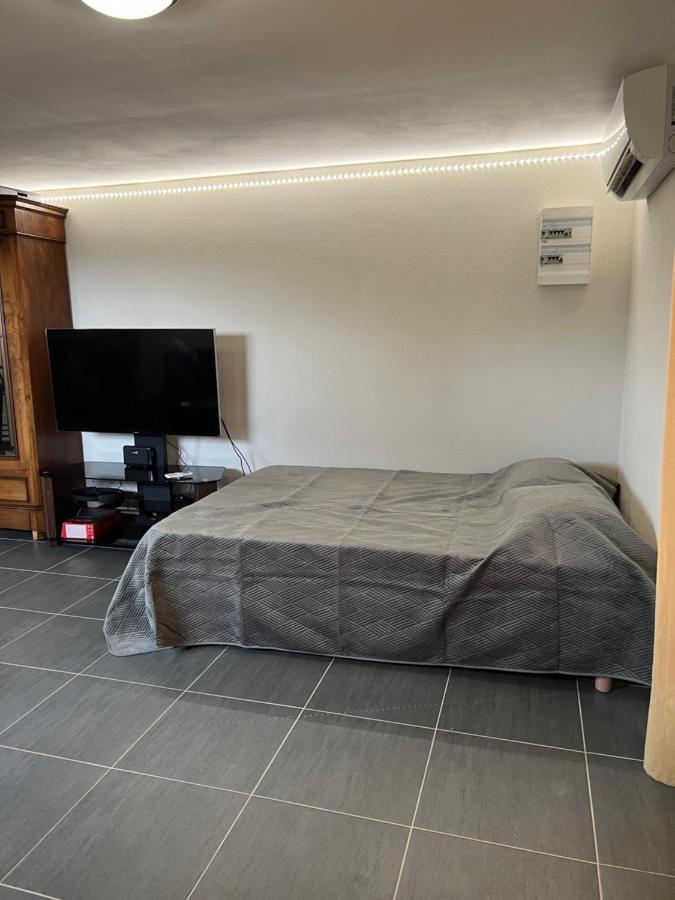 Studio Cosy Avec Grand Jardin Privatif Oasis Provencale A Taradeau Exterior foto